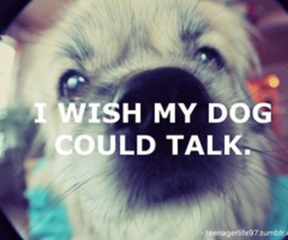 tumblr_mg6dasPpp91s2ziz5o1_500_thumb