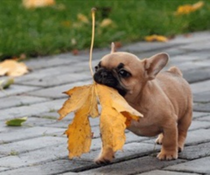 tumblr_mg6e2guoZN1s0wm9jo1_500_thumb