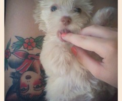 532621_473879415984072_472554394_n_thumb