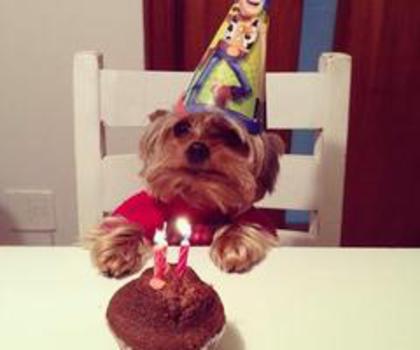 734694_452637384785771_2146007752_n_thumb