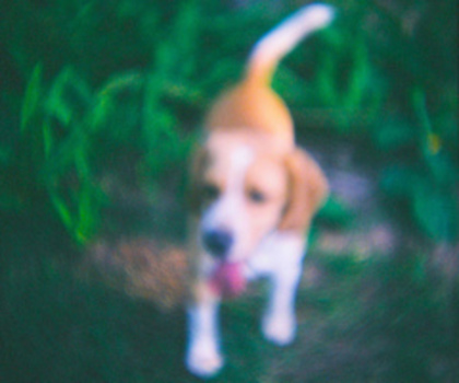 4869470117_121e5f35d5_z_thumb