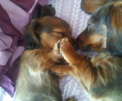 7790469502_5e21c85b79_b_thumb