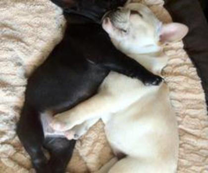 320990_489859151064615_1857986554_n_thumb