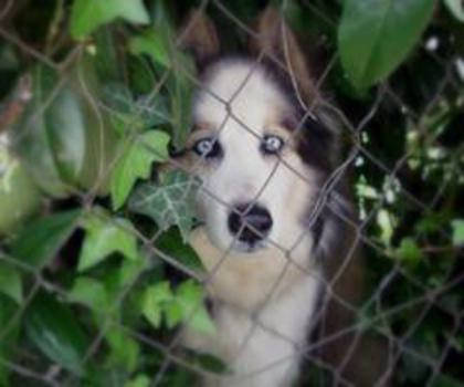 535679_370695659643442_304622059_n_thumb