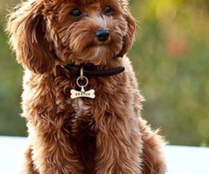 101119954102911906_0SvRE5D4_f_thumb