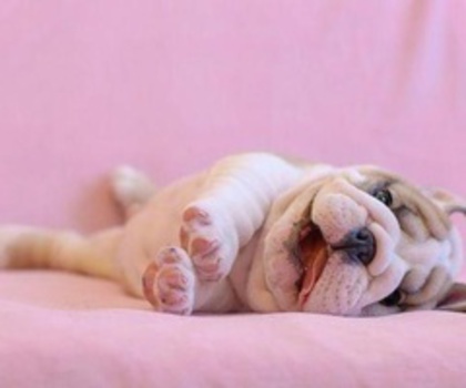 209347082648878098_yGp9nM9F_f_thumb