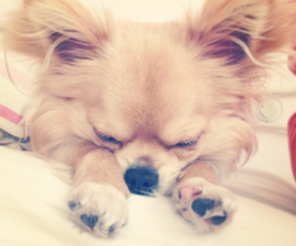 pic_50e899e89606ee4c23841f8f_thumb