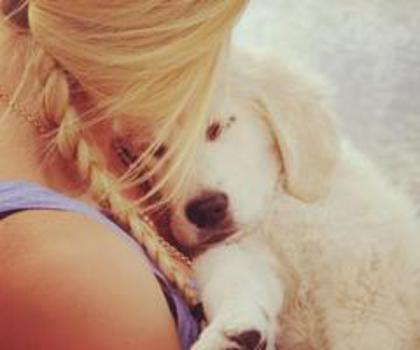 531415_463598490366227_762028548_n_thumb