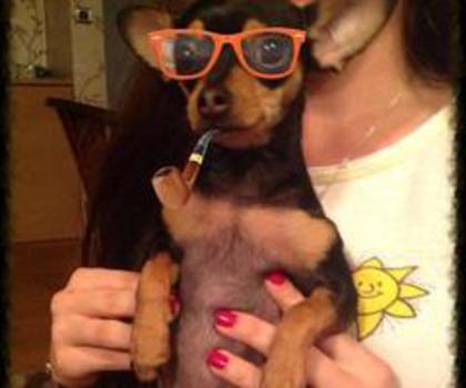 531822_10151159853116086_1243740809_n_thumb