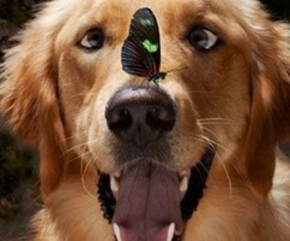 29695678763852319_4GebPlzT_c_thumb