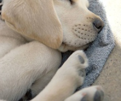 33706697181560817_IYuk6CcK_f_thumb