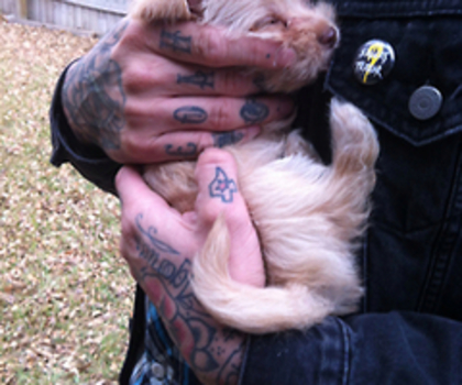 tumblr_mfvay3SaQo1s1s2mao1_250_thumb