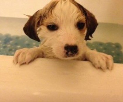 57350595225469128_dSNIp4Kq_c_thumb