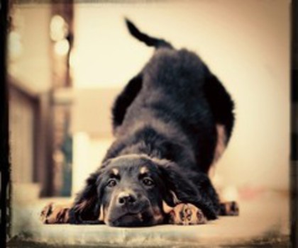 tumblr_mfxedxSWJx1rmp3mmo1_500_thumb