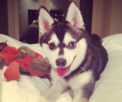 tumblr_mg66v2YcEz1rksruco1_500_thumb