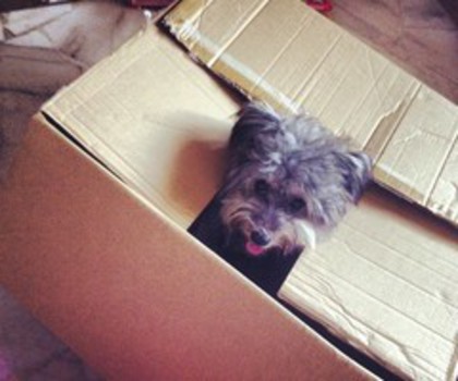 7e77f40e50be11e2917a22000a9f1587_7_thumb