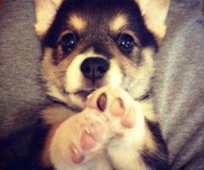 899_501700629874013_1547961892_n_thumb