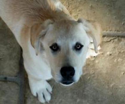 66285_464744550243701_1005116871_n_thumb