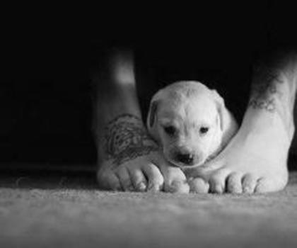 163305_468024576566588_1421149002_n_thumb