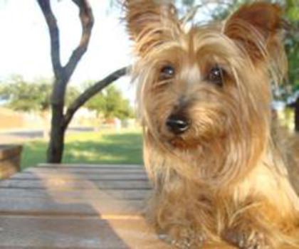 313339_10150874860220014_1672591019_n_thumb