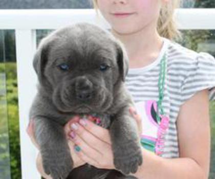 734211_398202516932059_1583748865_n_thumb