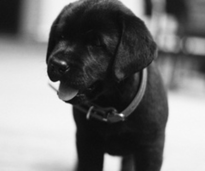 9499849185859193_Su7gsXjN_c_thumb