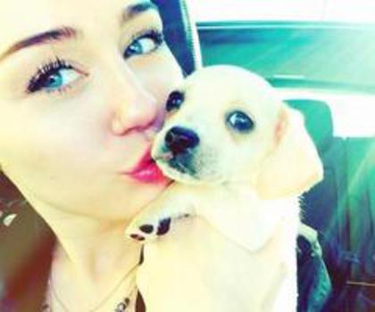 tumblr_mg2maoxb841qhwa5to1_r1_500_thumb