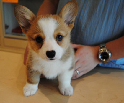 tumblr_mg63oqaIUV1r6ki37o1_500_thumb