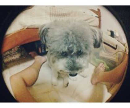 tumblr_mg4608idEO1qameaco1_500_thumb