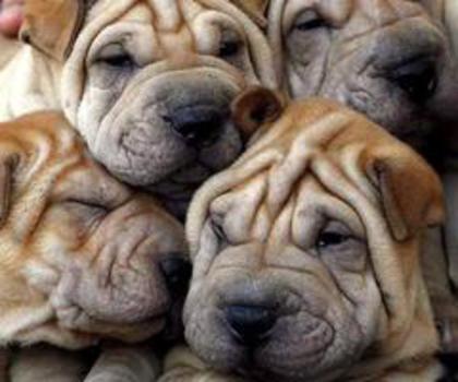 12651_509991885692681_1327755112_n_thumb