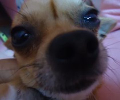 27855_123462881020845_6157475_n_thumb