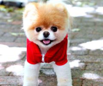 154320_10151249641318798_1493009679_n_thumb