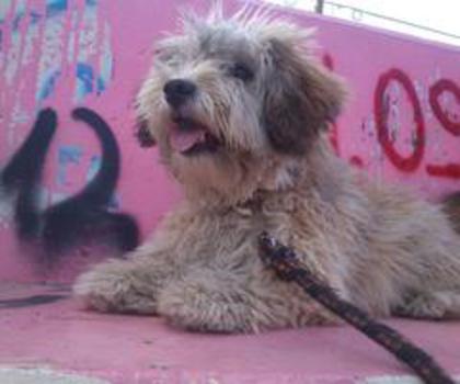 181378_426286080736888_1547386510_n_thumb