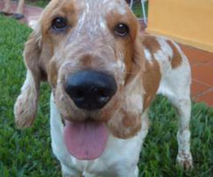 316524_3531197337055_1449066249_n_thumb