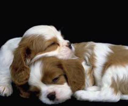 406142_396777380408762_2144529063_n_thumb