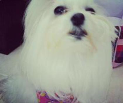 542257_387294018030962_311954062_n_thumb