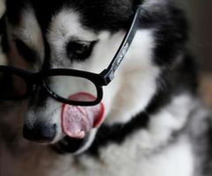 602773_517149818324878_1648555944_n_thumb