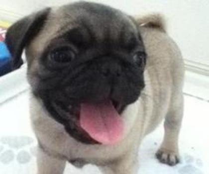 734305_10151244191208271_485235175_n_thumb