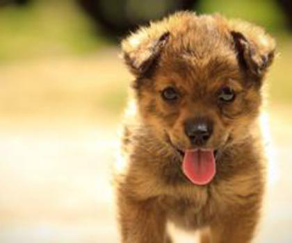 736961_10151173429256479_977549567_o_thumb