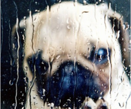 5527474988_ede238d7b2_thumb