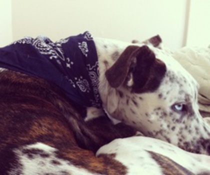 9499849185877321_wQH33sAL_c_thumb