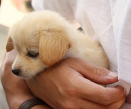 76490893642127884_6bycBX7S_c_thumb