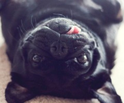 287315651196882257_9NsjIYWs_c_thumb