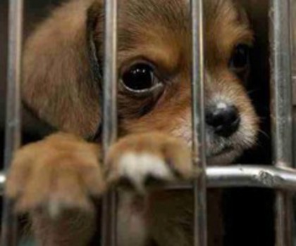 b523a8a200174edb50e72923_thumb