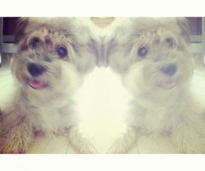 e65c4c6e4b2811e2af0122000a1fbc9e_7_thumb