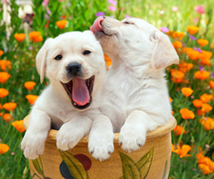 tumblr_mefwd8mXv91rdrcmjo1_500_thumb