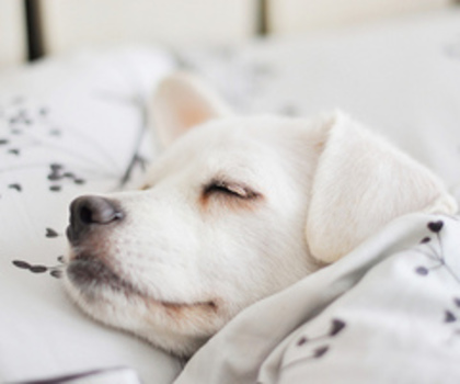 tumblr_mf4gvcoaYh1s0wsbwo1_500_thumb