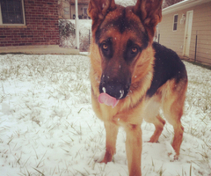 tumblr_mfygwha2BO1rv4wp4o1_500_thumb