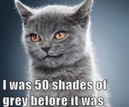 142989356889501277_mSM7aa41_c_thumb - xo_Pisici_xo