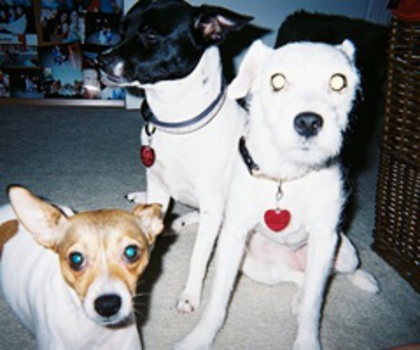 tumblr_mg4bsthyAR1qcl86ao1_1280_thumb - xo_Caini_xo